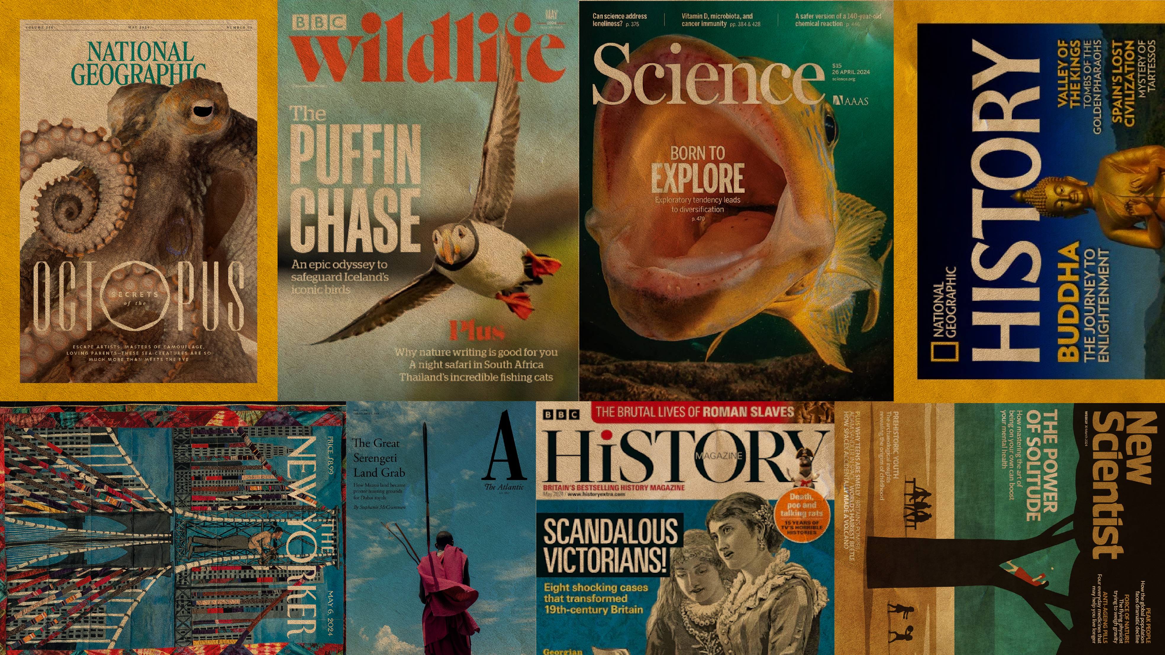 world press freedom day