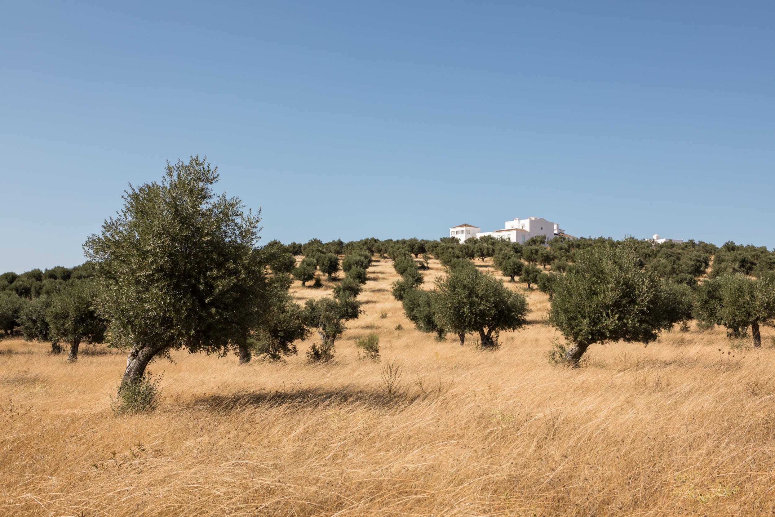 charming hotels to visit in portugal