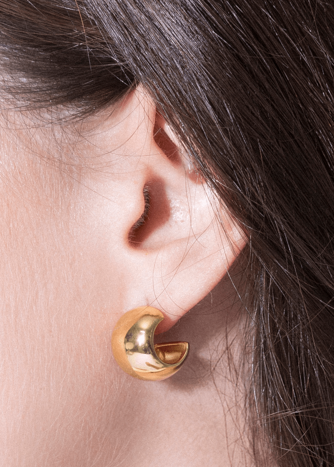 Gina earrings Earrings