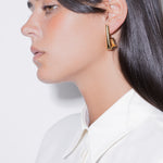 tina earrings earrings