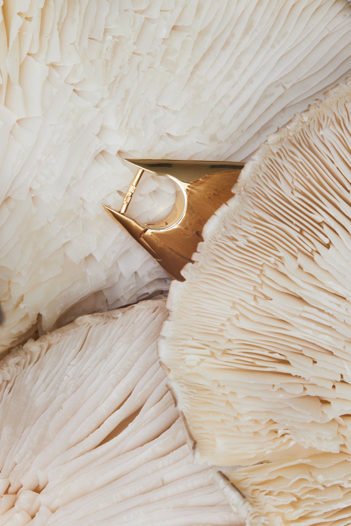 gold ring nestled among pale textured materials for jewelry gift ideas for sister.